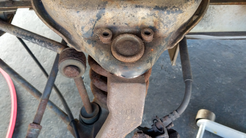 Illustration for article titled How To Ruin A Set Of Tires In 1000 Miles Or Less.